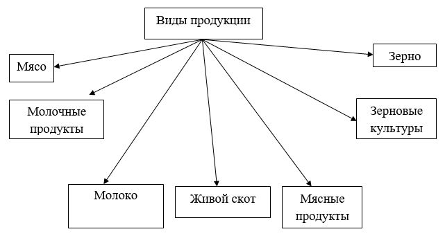 Дипломная работа: Фінансові потоки у неприбуткових організаціях